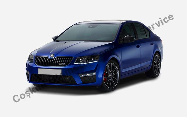 Mersin Skoda Servisi Özel Hizmetleri